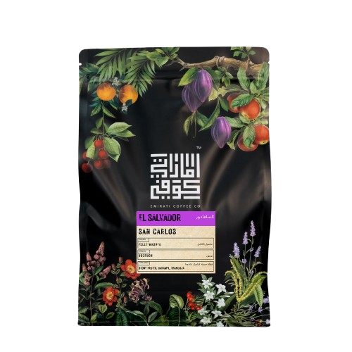 EL SALVADOR SAN CARLOS Fully Washed